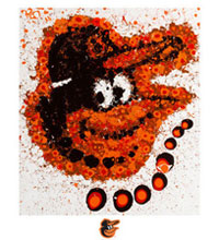 Baltimore Orioles team logo fine art