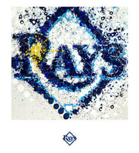 Tampa Bay Rays team logo fine art