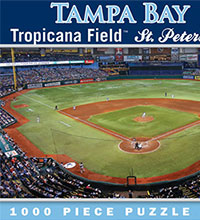 Rays ballpark puzzle