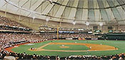 Tropicana Field panorama poster