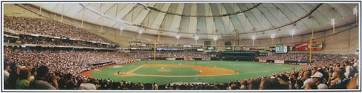 Tropicana Field poster