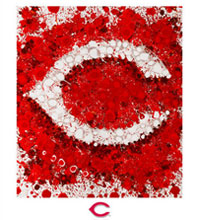 Cincinnati Reds team logo fine art