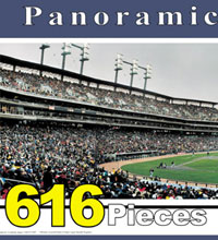 Tigers ballpark puzzle