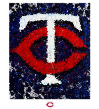 Minnesota Twins team logo fine art