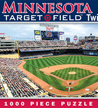 Twins ballpark puzzle