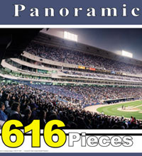 White Sox ballpark puzzle